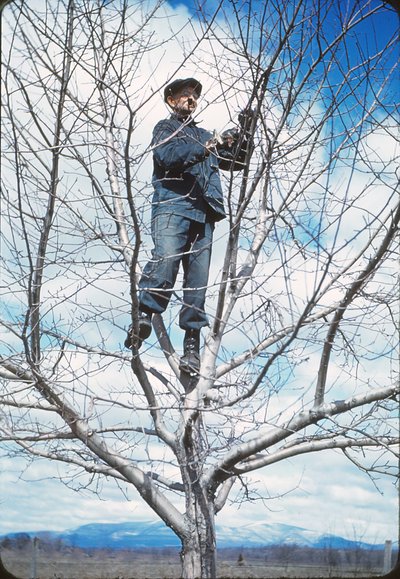 021 xxx pruning 4-23-40.jpg