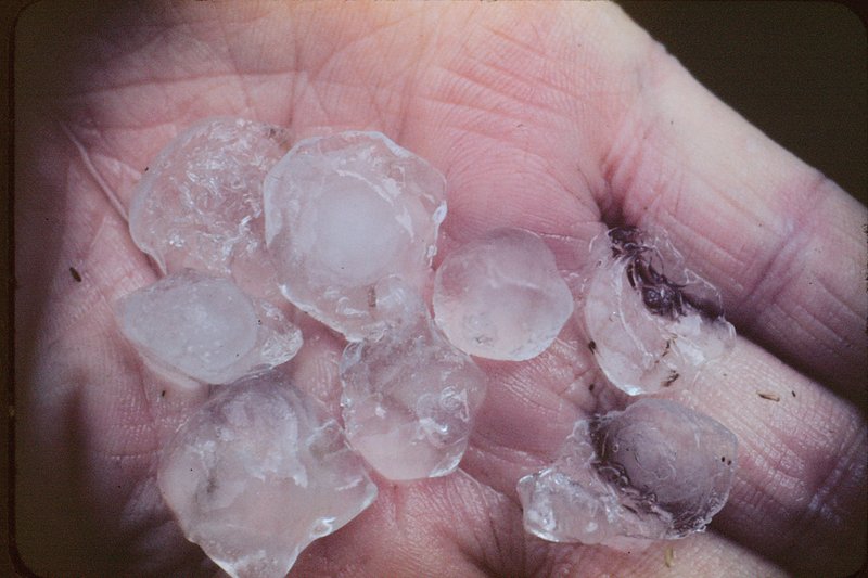 Hail stones - Losee Farm