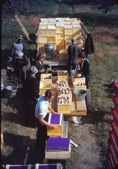 066 1944 king packing 10-2-44.jpg