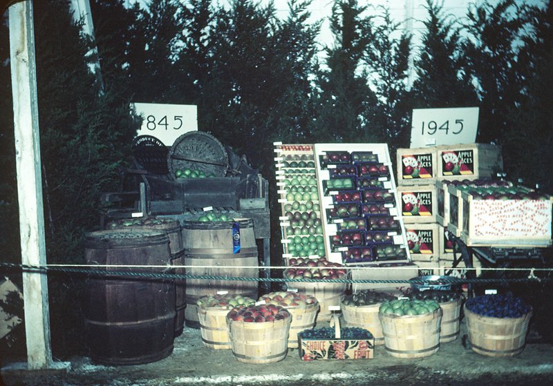 Fraleigh Losee Exhibit at Fair