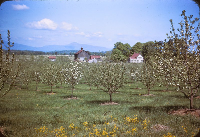 View of Losee Farm looking west, Catskills in the background