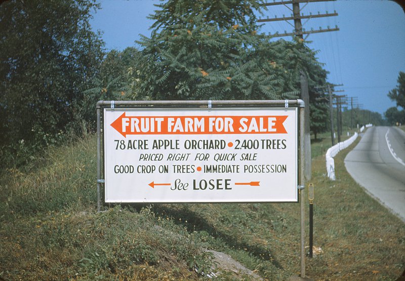 Sale sign for the Losee Farm on Route 9. Reads 