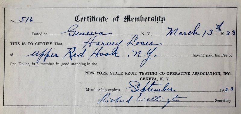 Certificate of Membership, New York State Testing Co-operative Association, Inc., Geneva, N.Y.