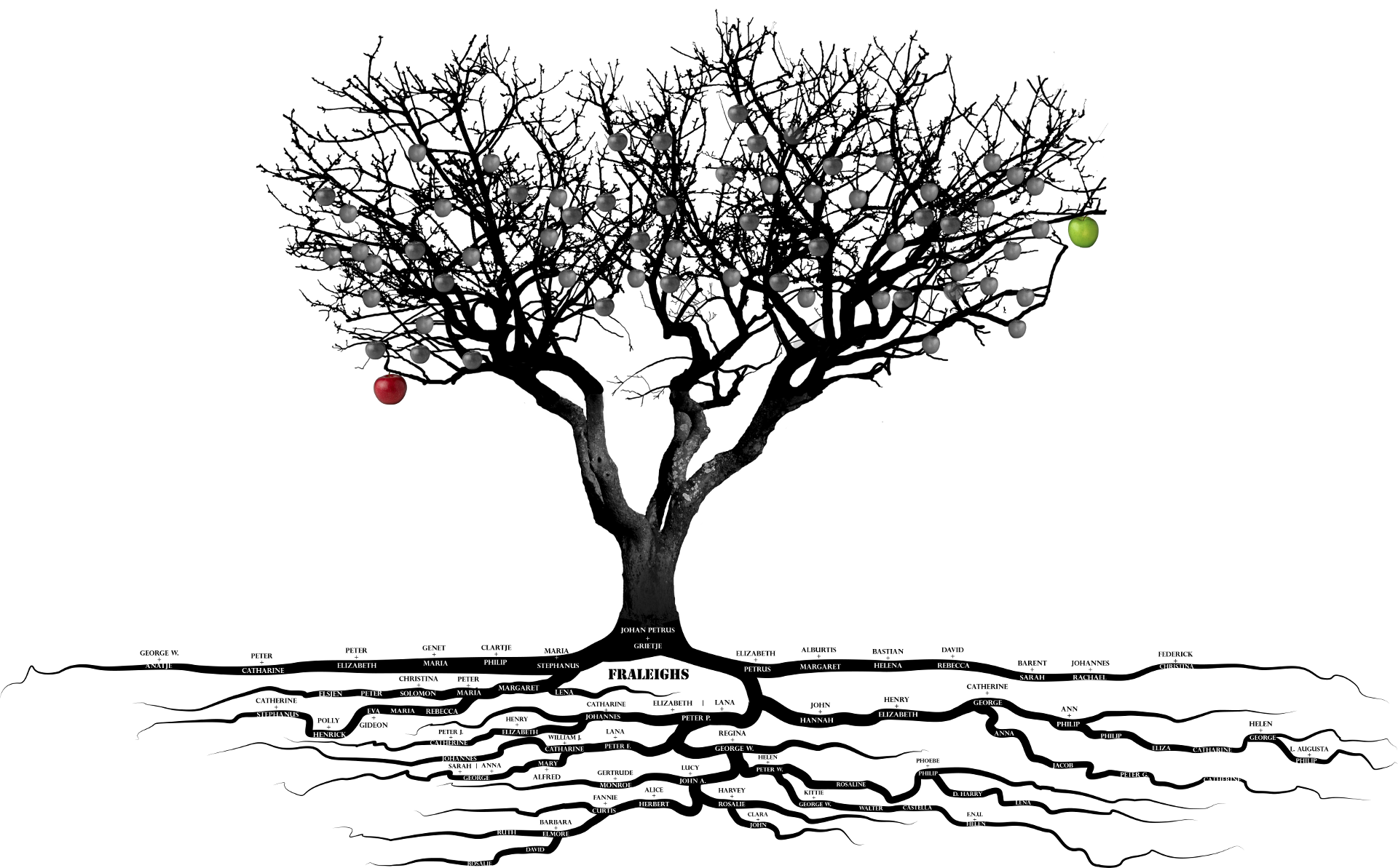 background image of an apple tree