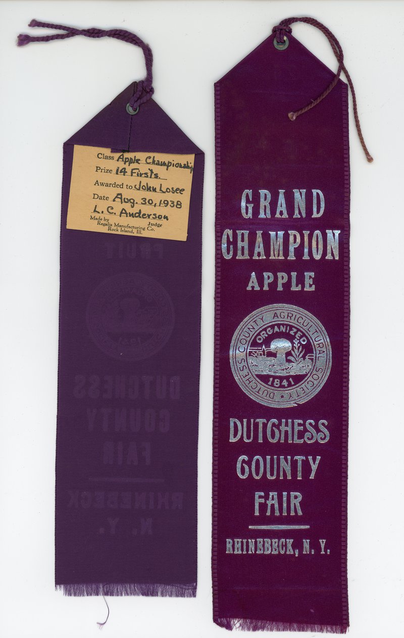 Ephemera from 1938 Dutchess County Fair, Grand Champion Ribbons