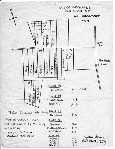 Losee Orchard in 1944